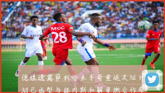 德媒透露萨利哈米季奇重返足坛计划已成型与赫内斯和解重燃合作希望